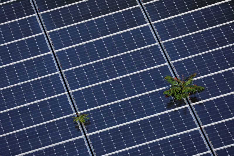 Exclusive-U.S. solar panel imports from China grow, alleviating gridlock, officials say