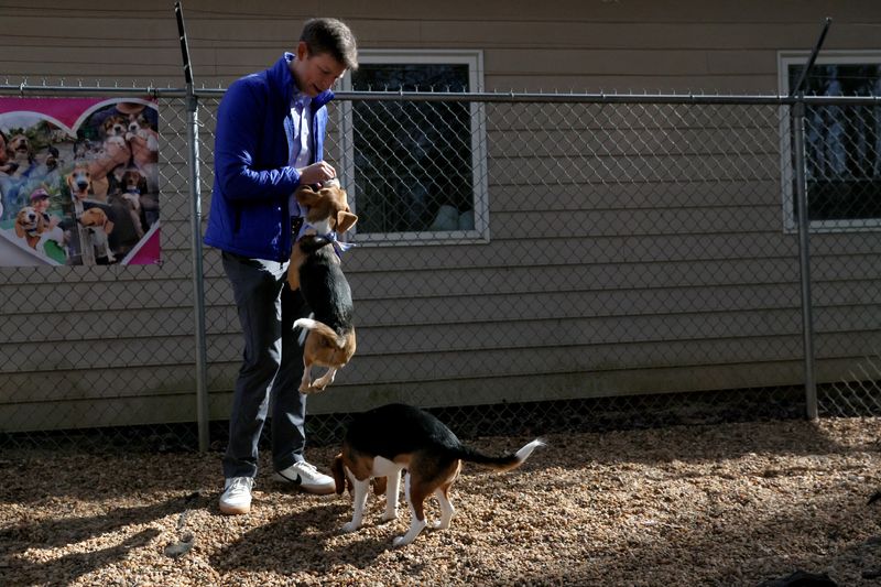 Exclusive-U.S. probe of beagle breeder Envigo scrutinizes top animal welfare officials' inaction