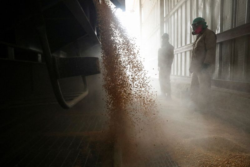 U.S. trade consultations on Mexico's GMO corn rule 'unacceptable violation' of law - Mexican official