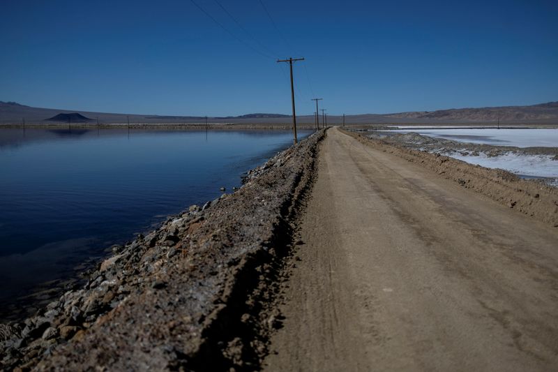 Albemarle cuts annual profit forecast on softening lithium prices