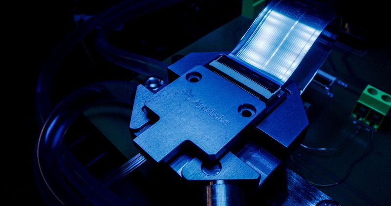 U.S. silicon photonics chip startup Ayar Labs gets AI funding boost