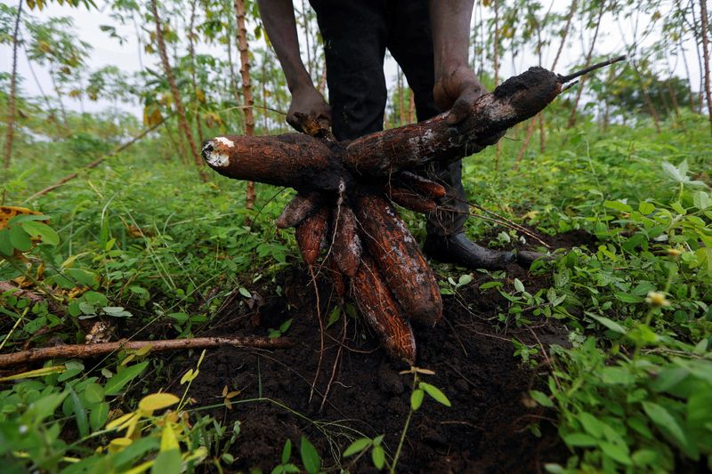 Unilever pivots to African suppliers as forex pressure mounts