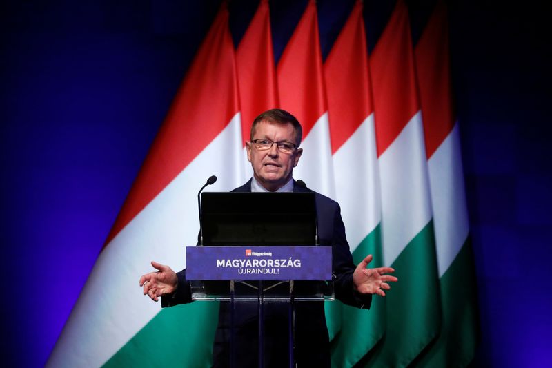 Hungary cbank chief sees chance for euro adoption only after 2030