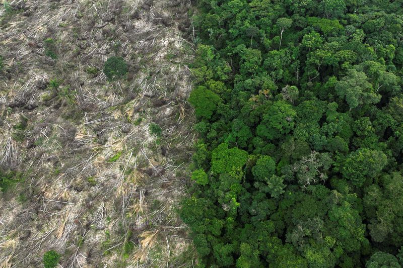 Exclusive-Investors may exit consumer goods firms over EU deforestation law