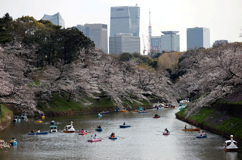 Japan sees 1.9 million visitors in May, down from cherry blossom rush