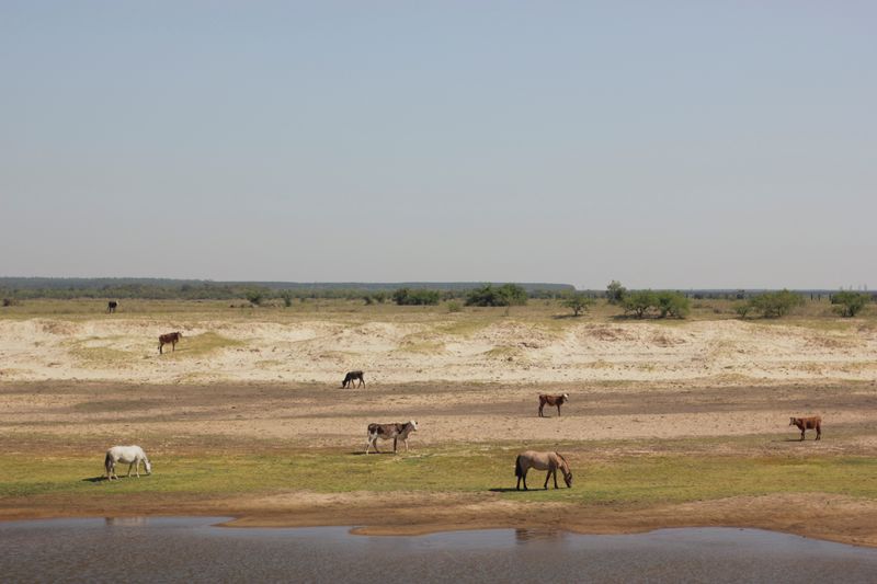 IMF sees drought causing Argentina contraction of 2.5% in 2023