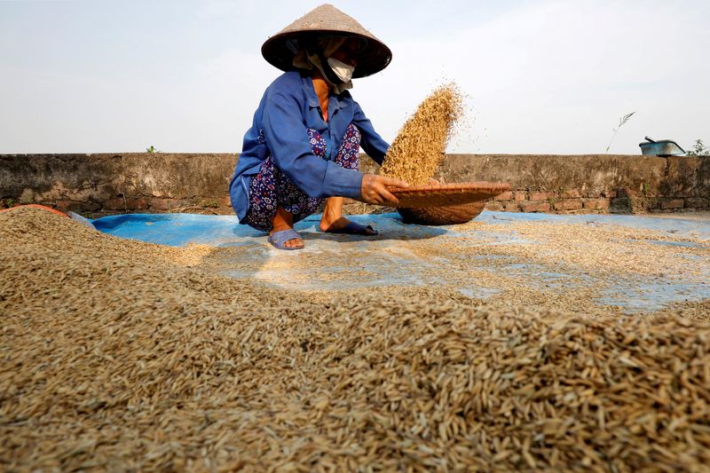Exclusive-Thai, Vietnamese exporters renegotiate 500,000 T of rice deals