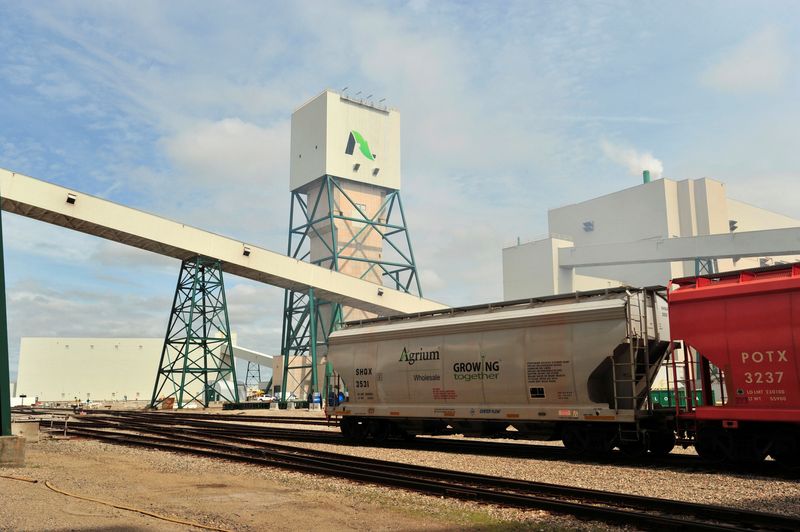 Nutrien CEO not looking to sell assets despite fertilizer price fall