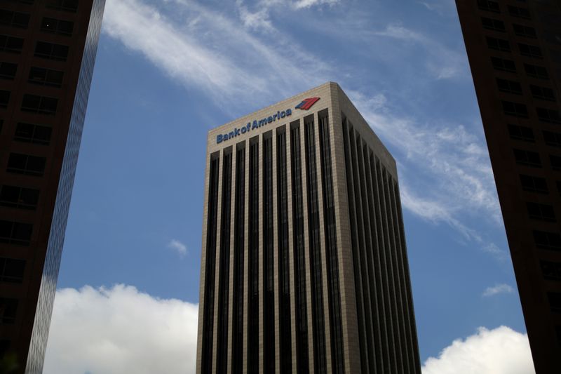 Optimistic investors still buying stocks - BofA