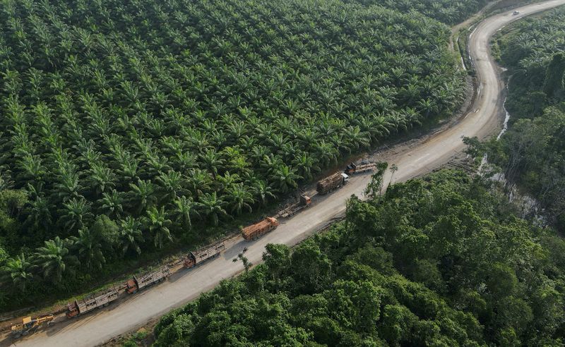 Palm oil demand boosted as rival oil prices jump on supply woes