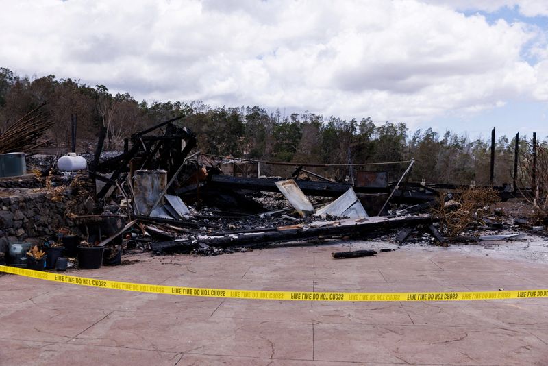 Moody's downgrades Hawaiian Electric's credit to junk amid Maui wildfire scrutiny