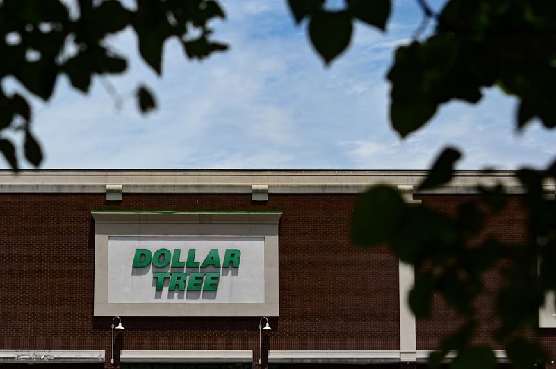 Dollar Tree sees annual profit dampened by costs, pivot to essentials