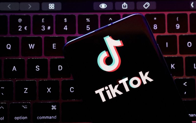 Exclusive-TikTok, YouTube, Meta eye Indonesia e-commerce licenses- sources