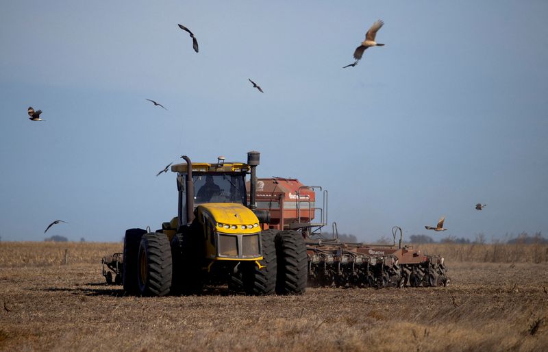 Argentine election may boost farmer spending, grain prices -biotech firm Bioceres