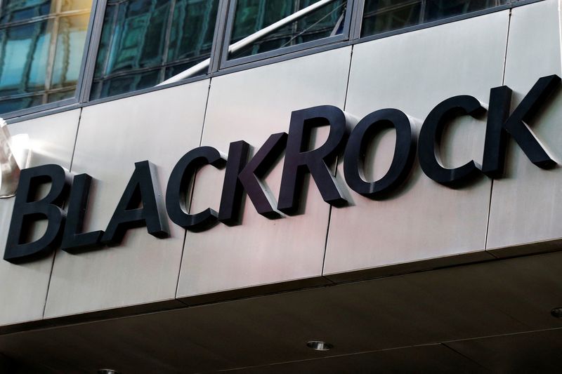 BlackRock to invest up to $400 million in Dubai decarbonisation firm Positive Zero