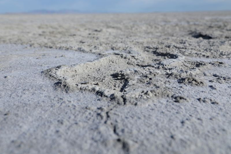 Utah's Great Salt Lake is drying out, threatening ecological, economic disaster