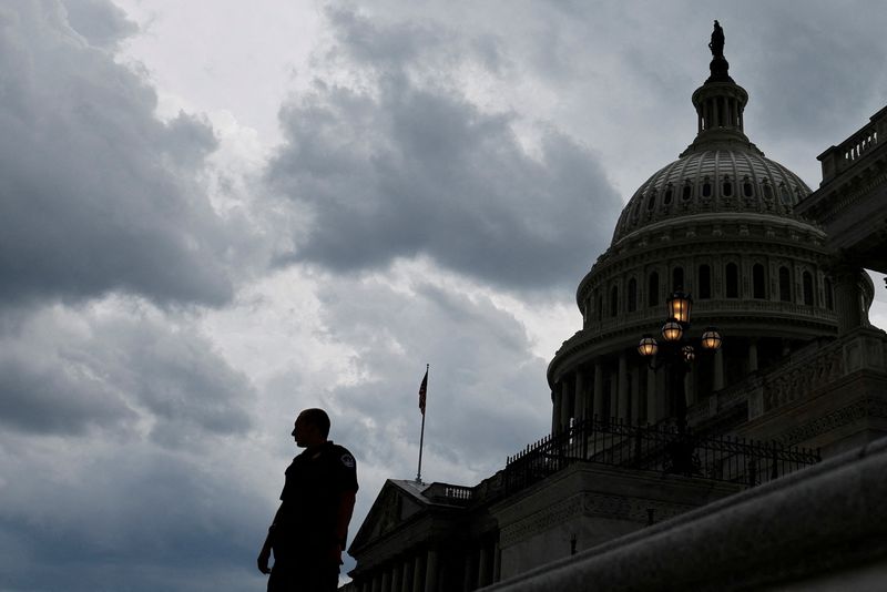 U.S. Senate Democrats could link same-sex marriage, gov't funding bills -source