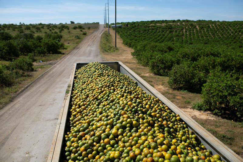 Orange juice prices surge as Ian hammers Florida; Cargill shuts plants