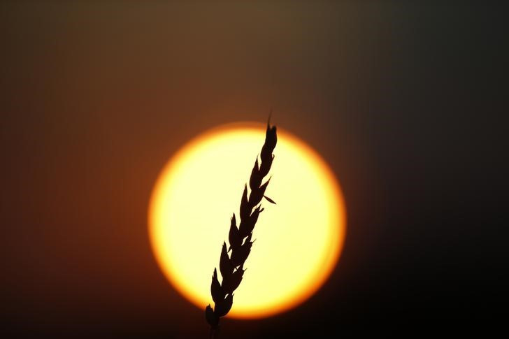 Minority farmers sue U.S. government over repealed debt relief program