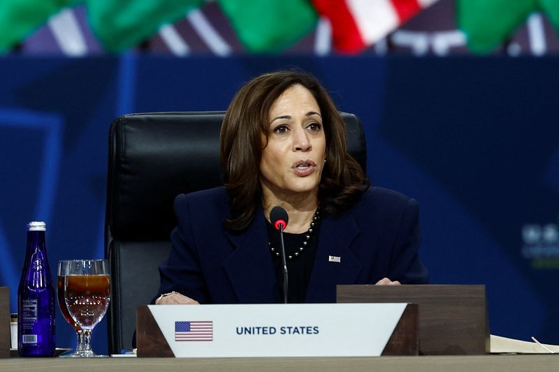 Migrants dropped outside VP Harris's home on blustery Christmas Eve