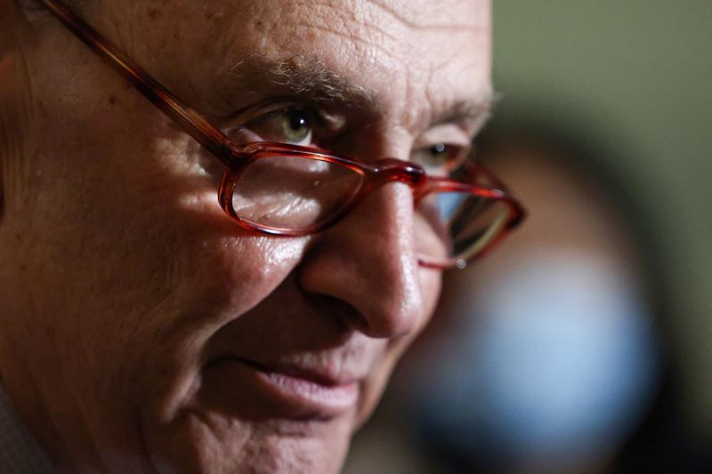 U.S. Senate to vote this spring on lowering insulin prices - Senator Schumer