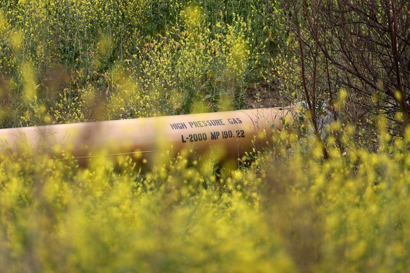 U.S. Senator McConnell asks FERC to kill climate rule for pipelines