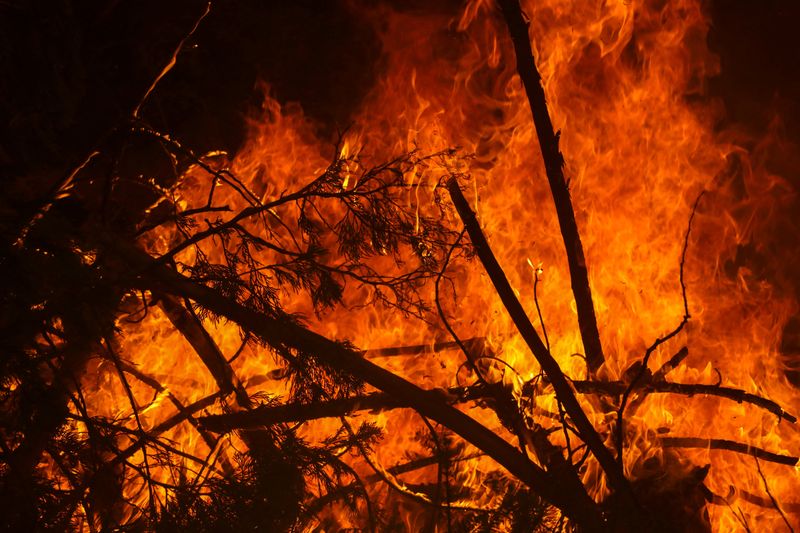 Lacey Fire Sparked by Plane Crash Spreads to Over 800 Acres