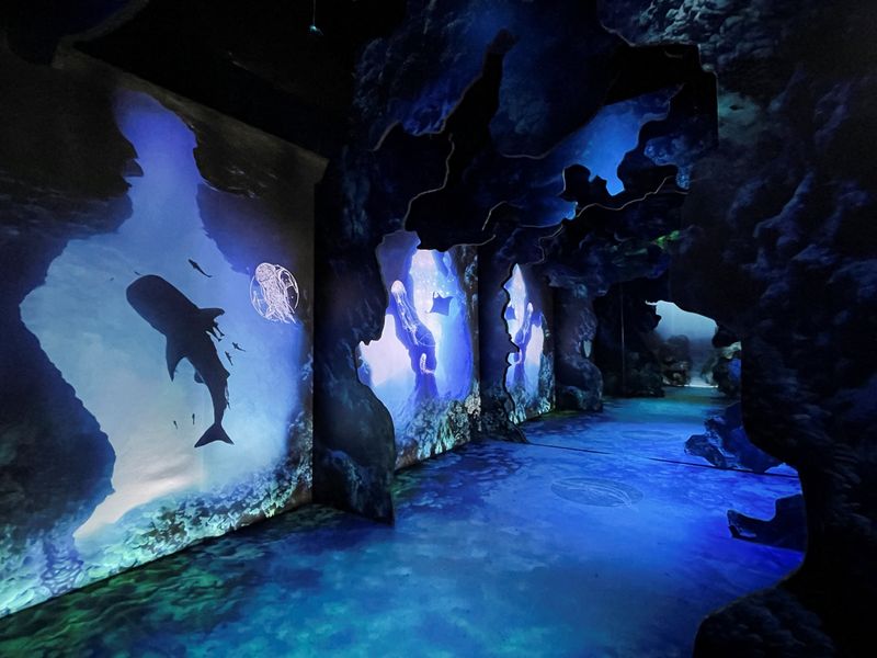 Augmented reality exhibit in New York looks at impact of climate change