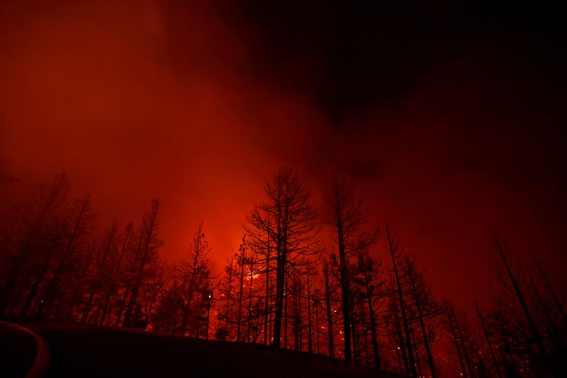 Biden administration commits another $490 million to combat wildfire risk