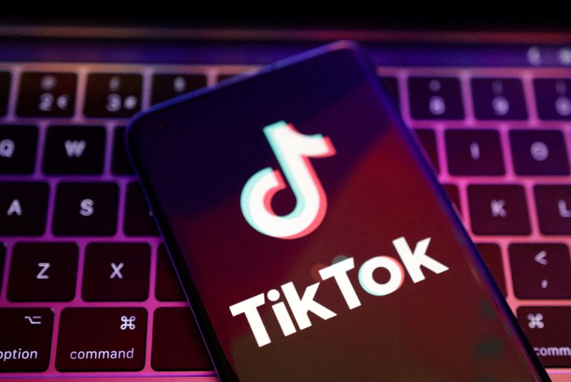 Left-Wing Billionaire’s Nonprofit Is Pushing A TikTok Campaign Against American Energy