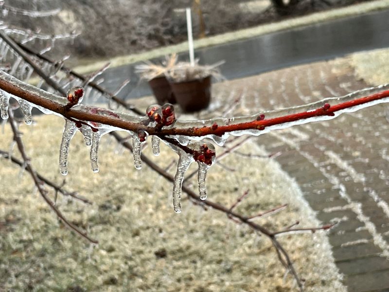 Ice storm causes internet outage in Michigan - NetBlocks