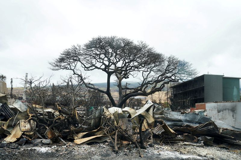 US approves $95 million for Hawaii's electric grid after wildfires