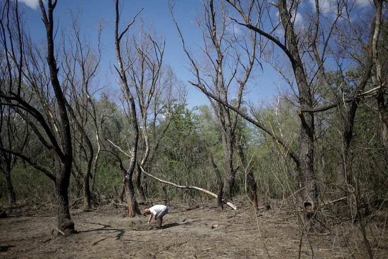Blinken, Romanian minister discuss drone debris found in Romania near Ukraine border