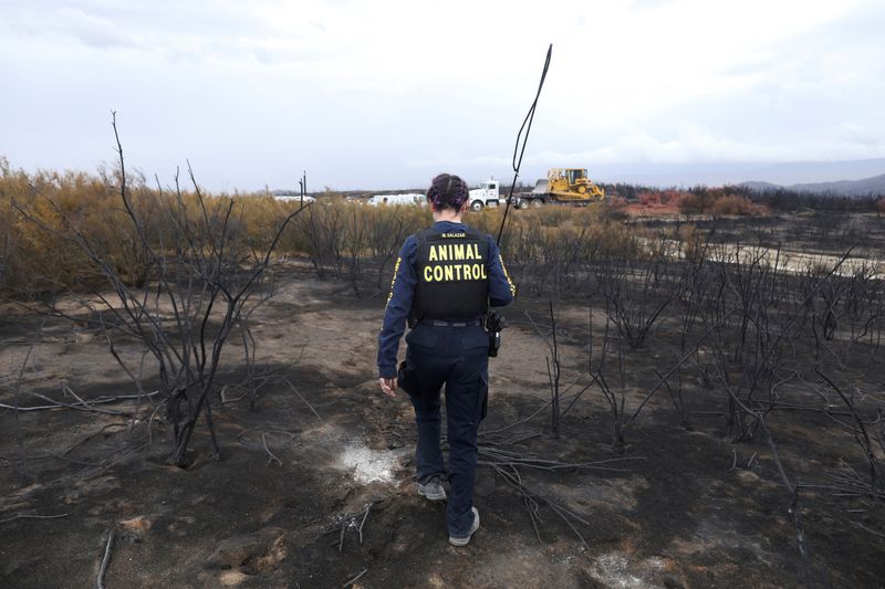 California escapes fire season mostly unharmed, but danger could lie ahead