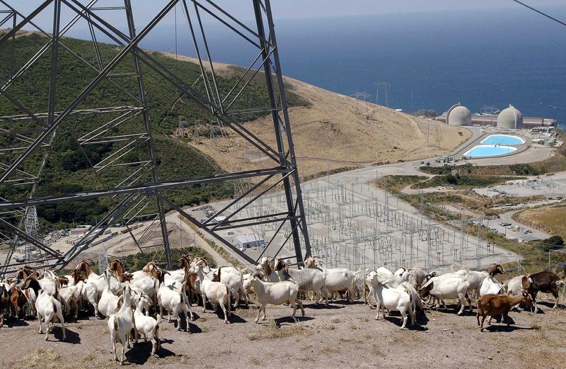 California's only nuclear plant gets state approval for 5-year extension