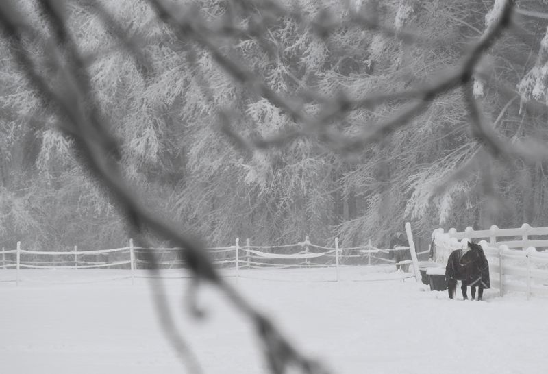Winter Weather Advisory Issued in Monroe Township, NJ