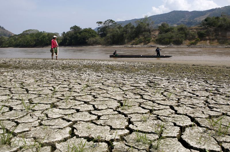 El Nino conditions set to continue for several months