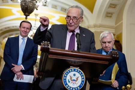 US Senate unveils $118 billion bill on border security, aid for Ukraine, Israel