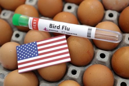 US is '18 months or so' away from finding bird flu vaccine, says agriculture secretary