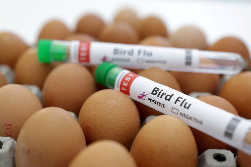 Bird flu dairy cow outbreak widens in Ohio, Kansas, New Mexico