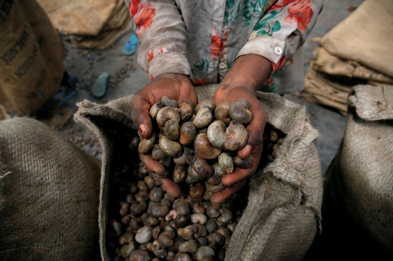 Ivory Coast to announce $20 million cashew sector aid plan -source