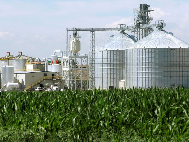 US biofuel industry defends record as Biden administration mulls policy reform