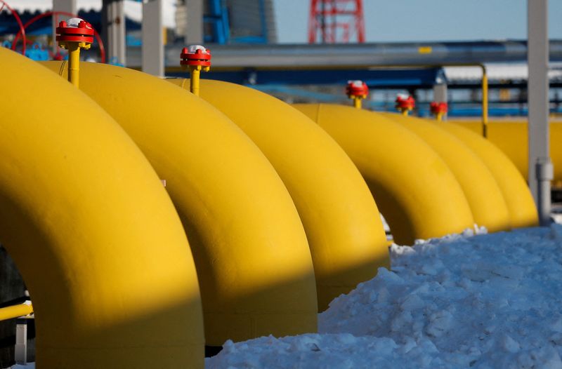 Russia ready to increase gas supplies to Italy, ambassador says