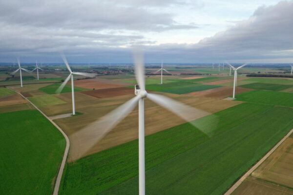 Biden’s Wind Power Push Could Wipe Out Nearly Half Of Golden Eagle Population By 2050: REPORT