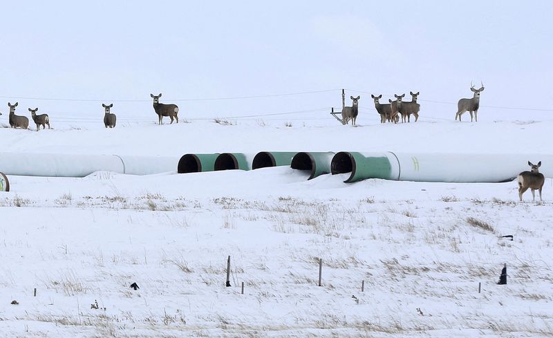 Canada's Alberta to drop provincial fuel tax as oil prices surge