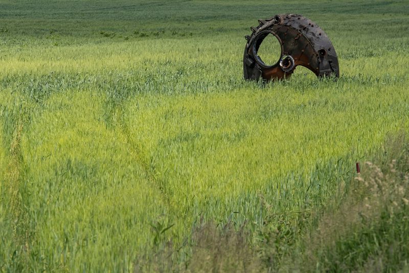 Millions risk undernourishment as wheat prices surge, FAO and OECD warn