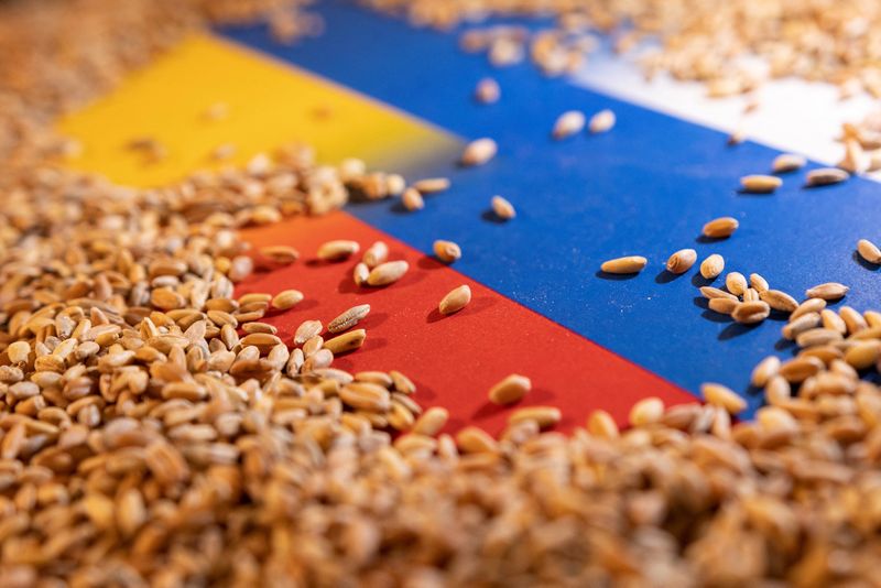 Russia's defence ministry: grain coordination centre launched in Istanbul