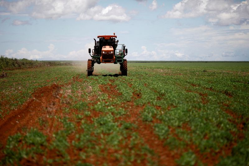Brazil fertilizer deliveries to stabilize or fall as cost woes weigh - Yara executive