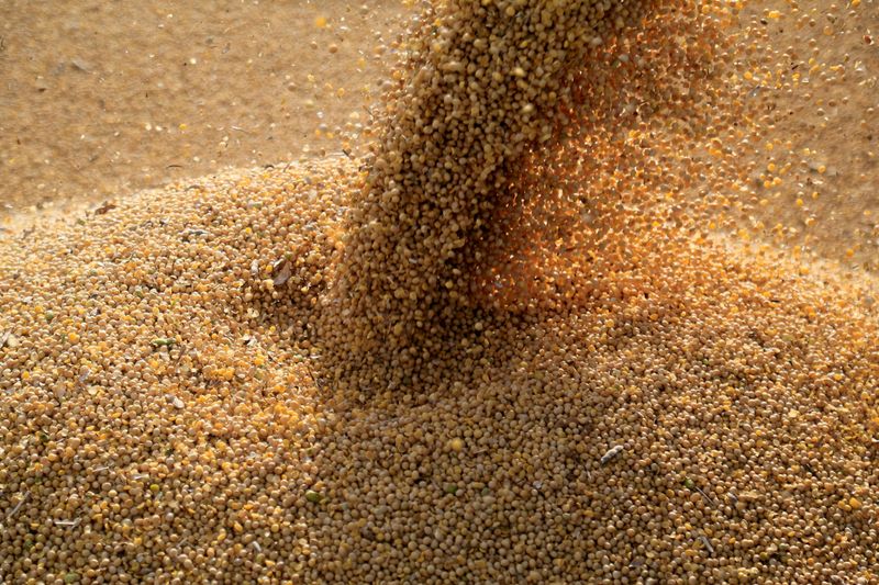 Brazil more competitive than U.S. to ship soy to China, Rumo CEO says