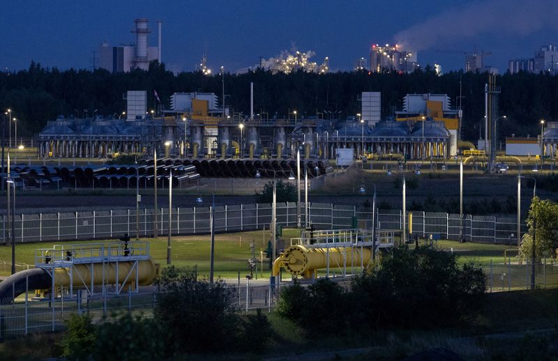 Europe may avoid gas disaster this winter, next could be worse -Trafigura exec
